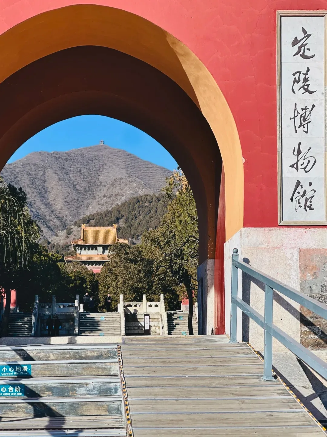 4367f0d2aef576ee0e752862f9022d03-sz_420626