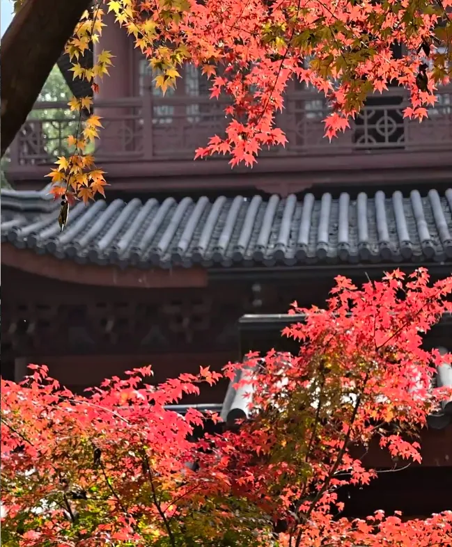 4383e0b1bebb3940564129b2282ea7d1-sz_1083779-1 4383e0b1bebb3940564129b2282ea7d1-sz_1083779-1