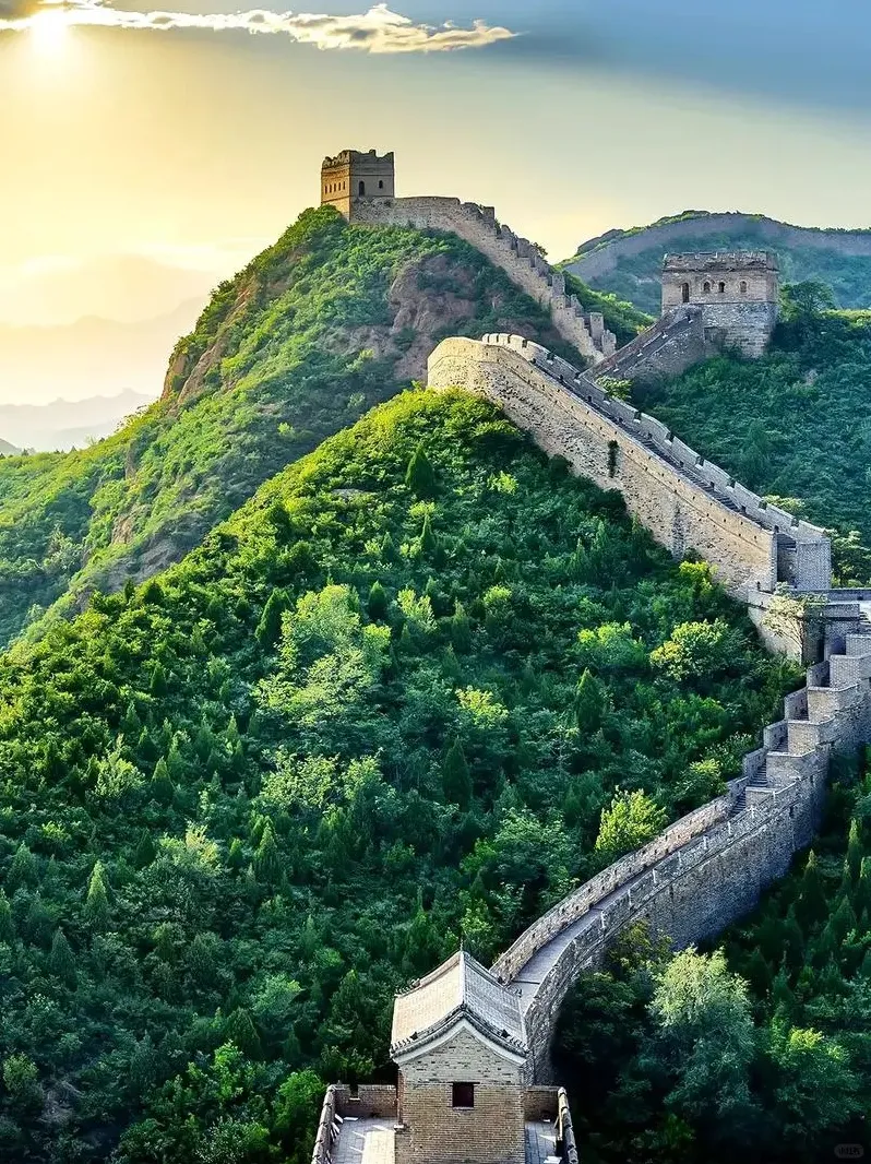 43ce89e36193f51cde74bbaa6f1f1116-sz_388226-1