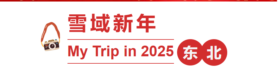 43d568d154feca852fcfe49b868c6ba0