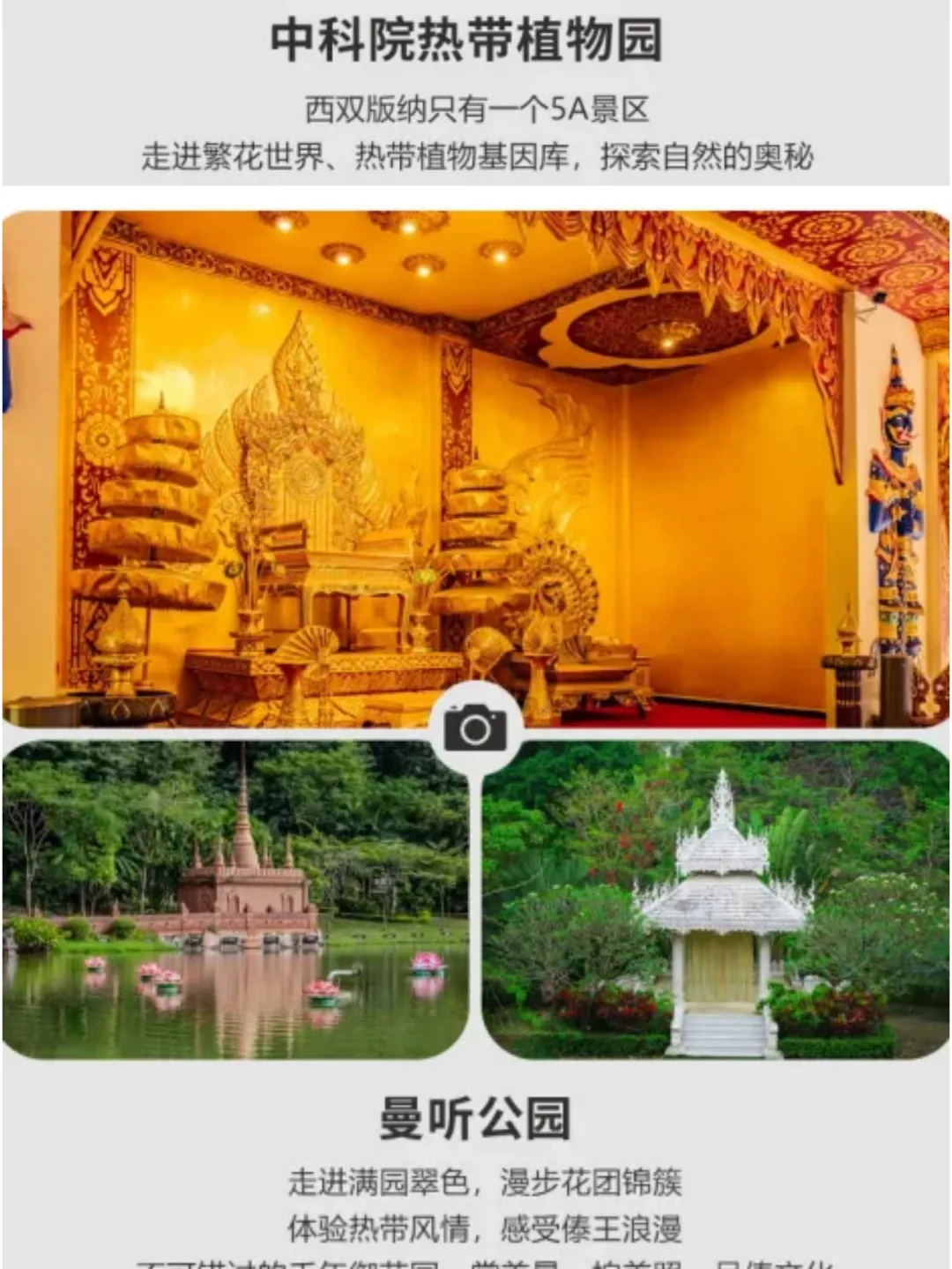 43e51fe7a89014990e03ce52c4604a3d-sz_483438 43e51fe7a89014990e03ce52c4604a3d-sz_483438