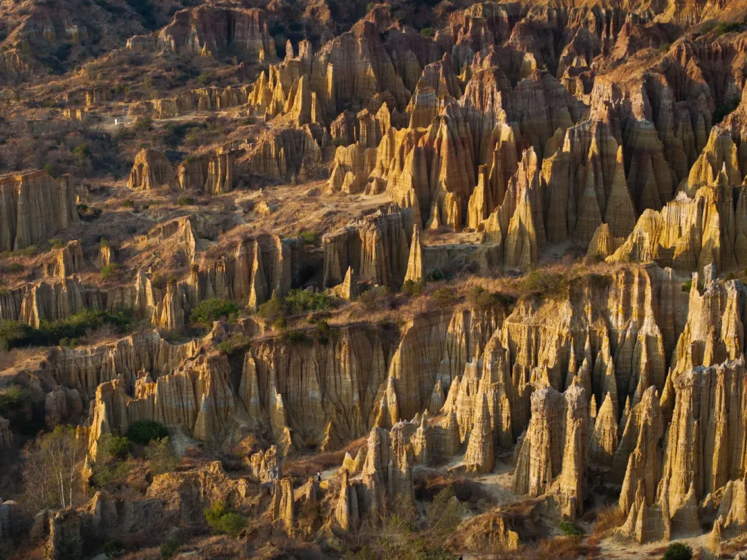 43ec1f7f7188df9eb176f2fedd9dde9d-sz_3000063