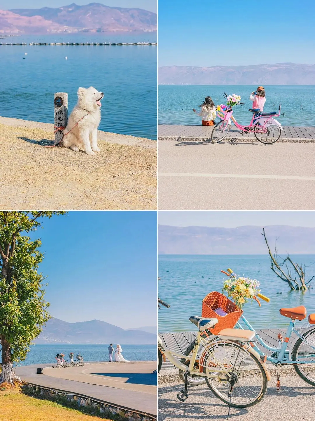 4408005f80304c59791cea7855d560fb-sz_293489-1