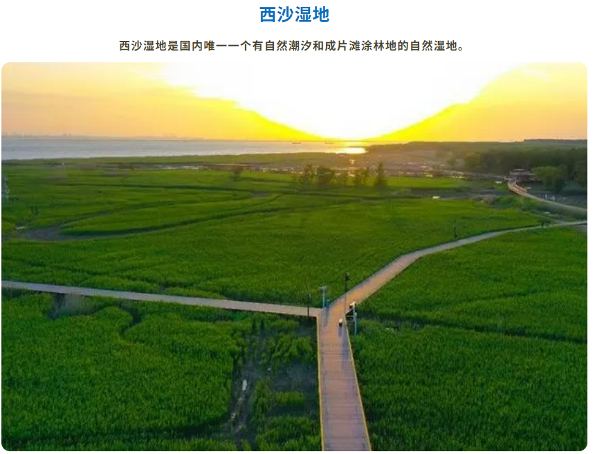 440b9e373e8b850255b737a8082a38e7