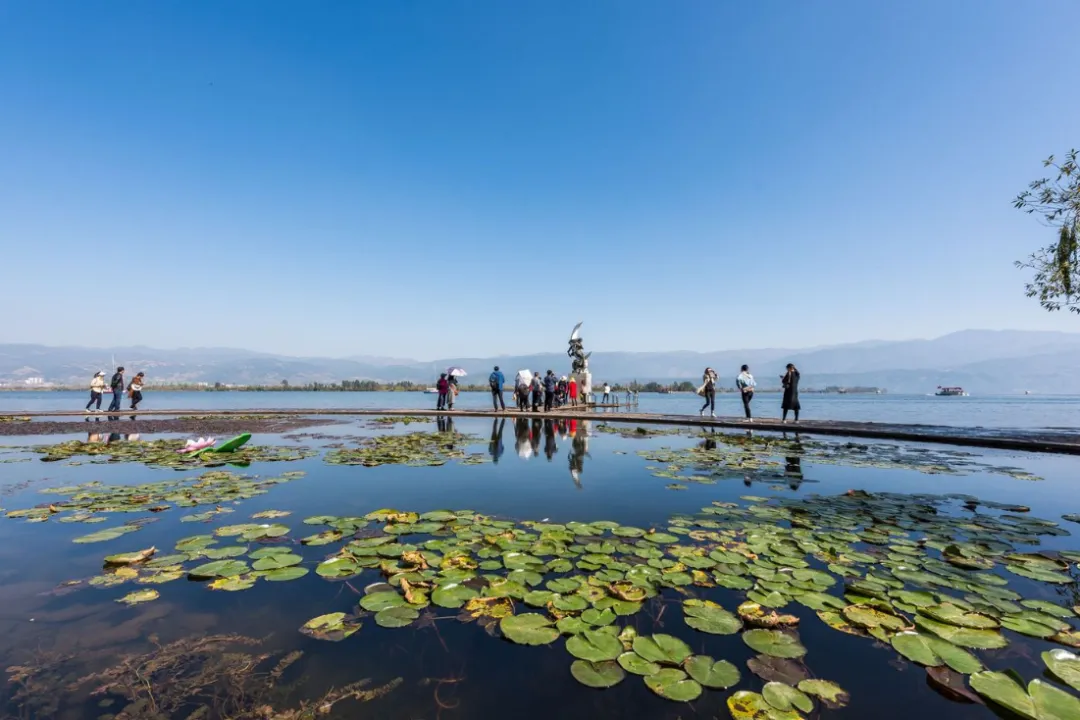 442beb613de4b55fcf6549ff2d143b16-sz_962254 442beb613de4b55fcf6549ff2d143b16-sz_962254