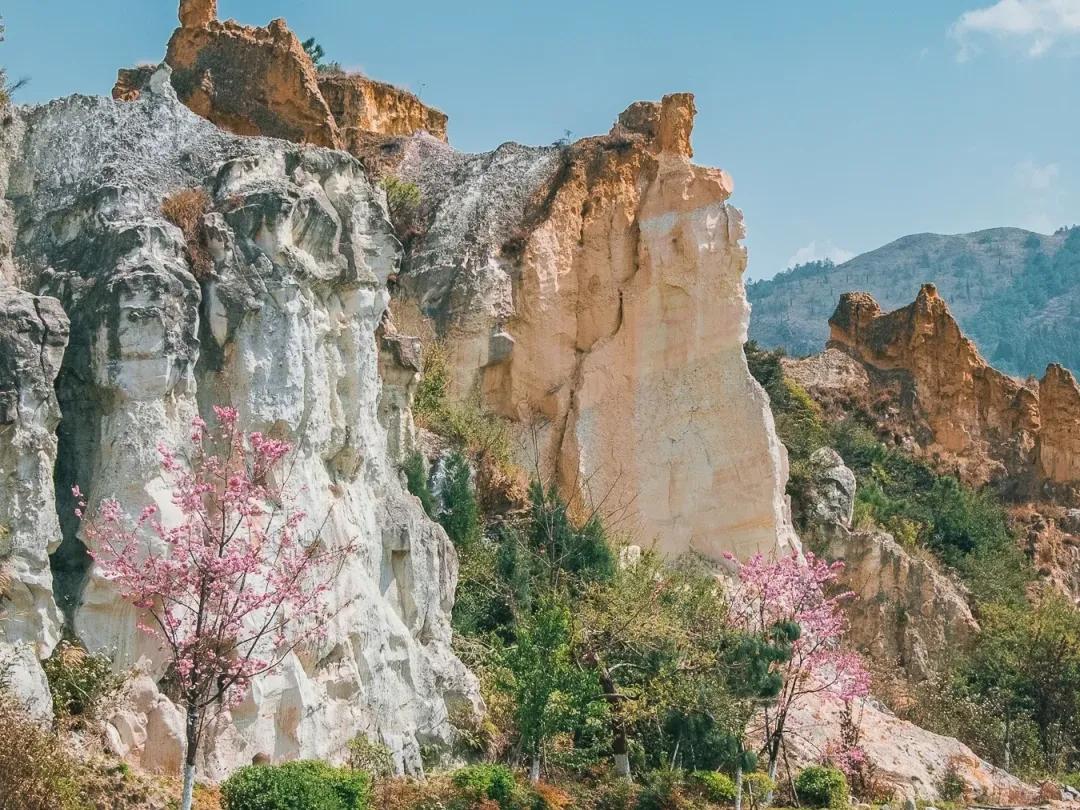 44408ac23e0714fa9e24d666a84606fa-sz_3290096