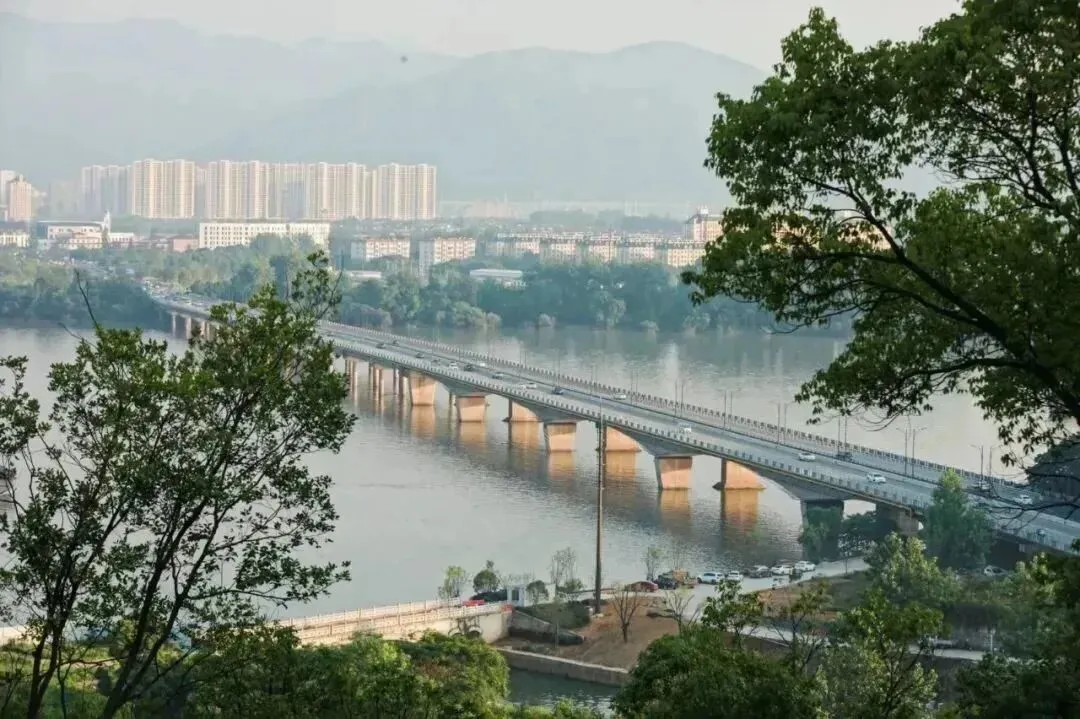 4457e6a306a619b15cc7299427d619d4-sz_154757