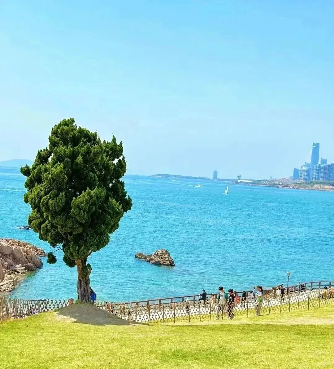 4465ca97de3bed81c3a3b2f4c647975c-sz_223979