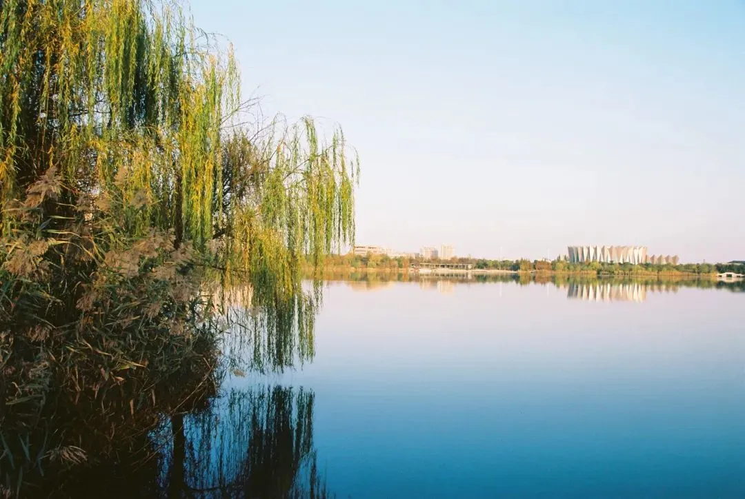 446f4ea0f89fb0fbc662f858c4030f8d-sz_124621 446f4ea0f89fb0fbc662f858c4030f8d-sz_124621