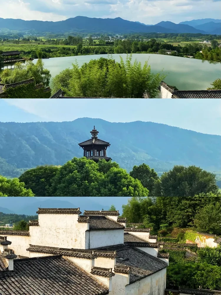 447e0b49fd4def95ece81defffe1f8e5-sz_1427844 447e0b49fd4def95ece81defffe1f8e5-sz_1427844