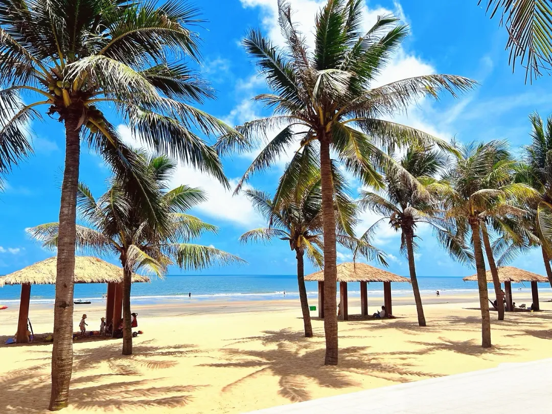 448281bab6937a75c63968e031ee8471-sz_2546910 448281bab6937a75c63968e031ee8471-sz_2546910