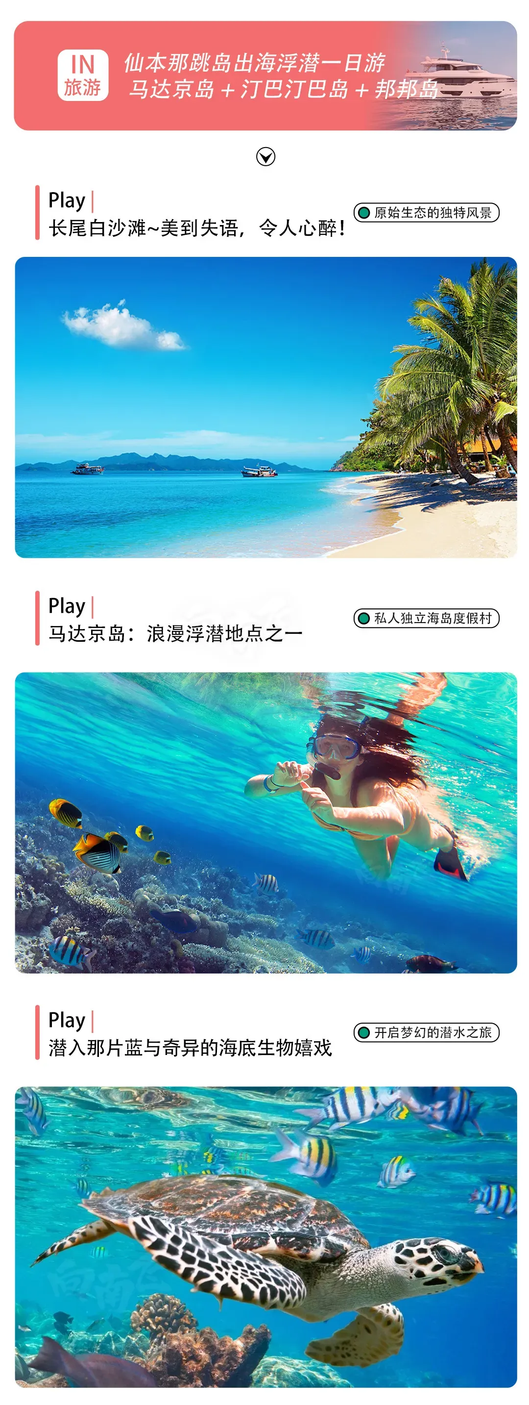 449bf46edada9fc1c176e2aa2a50bf58-sz_3516500