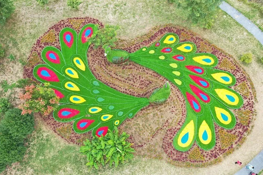 44b81495e8f14e6de720f87c07c310ae-sz_255344