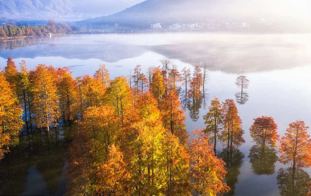 44c1620afd1fd9a2633458948e7e1d12-sz_403995 44c1620afd1fd9a2633458948e7e1d12-sz_403995