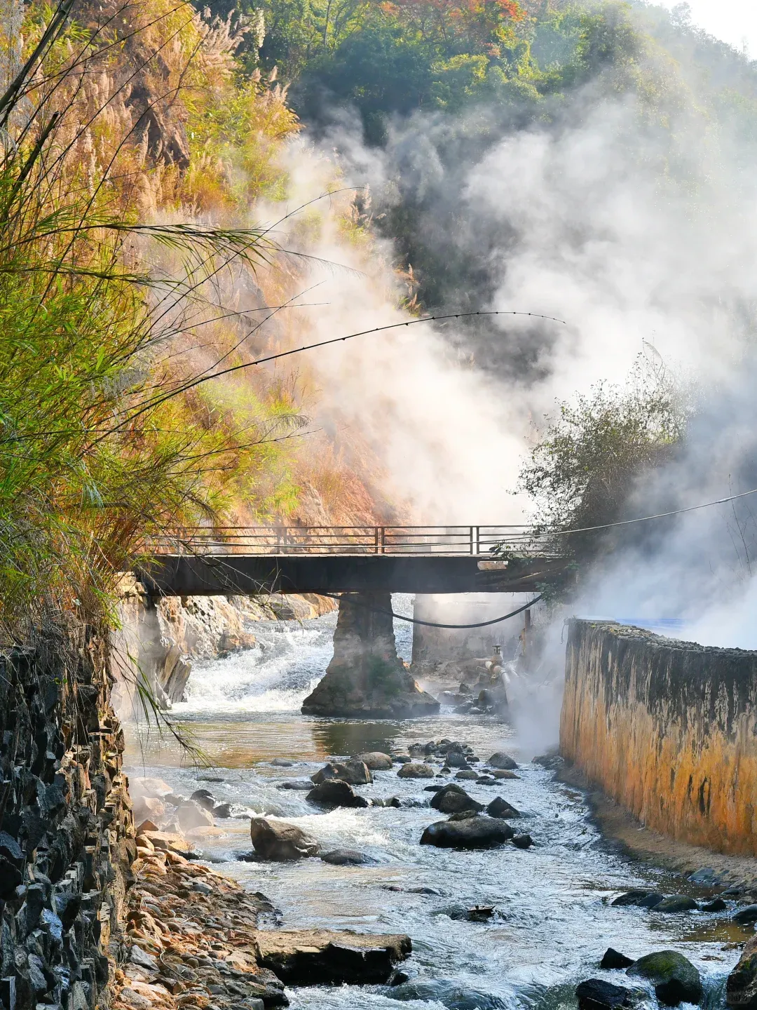 44cc4618e46292002d0993c8c13bc274-sz_2986776-1 44cc4618e46292002d0993c8c13bc274-sz_2986776-1