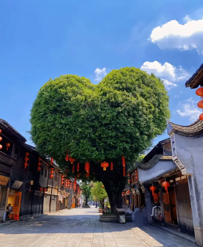 44ee45d9ea9cca15404ec6dd622cb975-sz_1170314 44ee45d9ea9cca15404ec6dd622cb975-sz_1170314