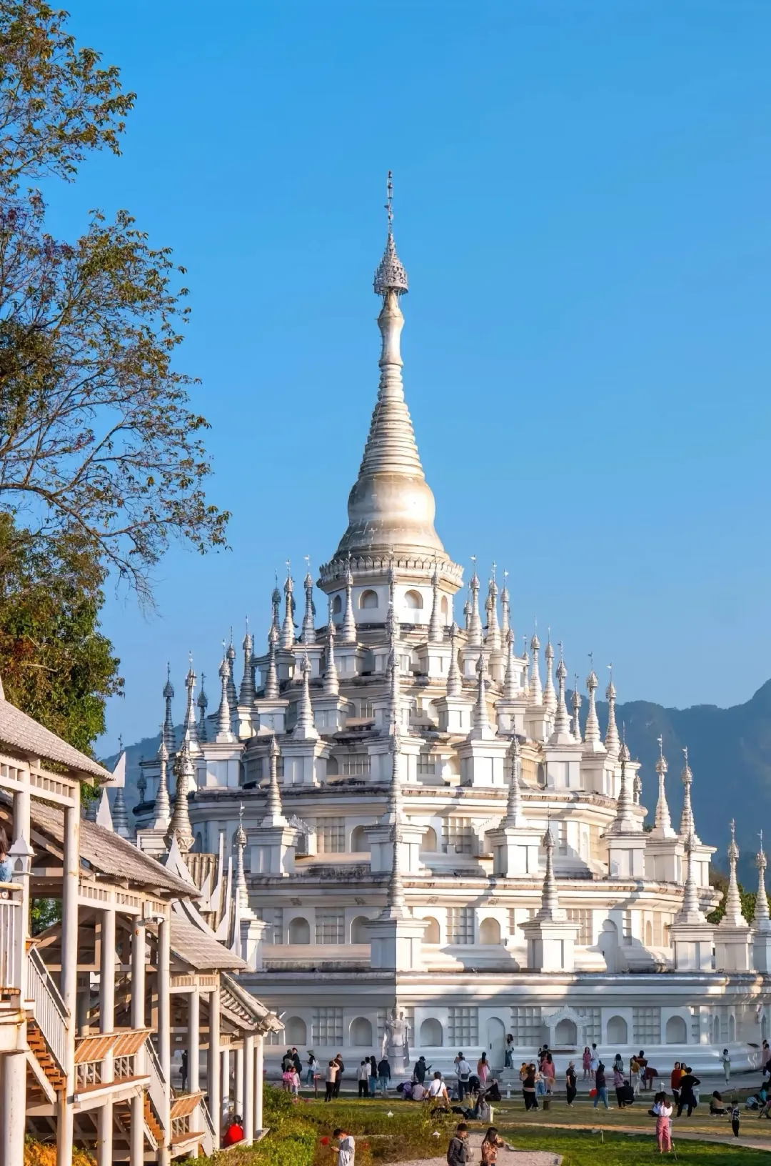 4514afe92976028bff89666f043f76d3-sz_3165057-1