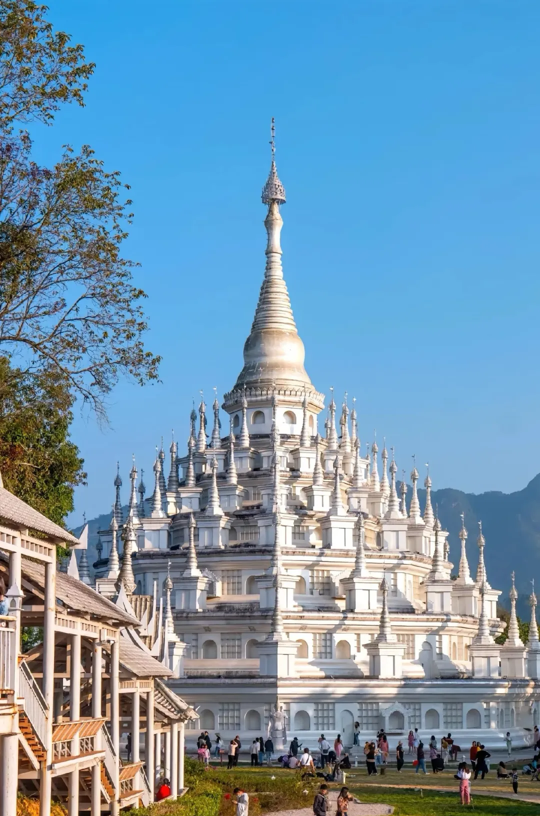 4514afe92976028bff89666f043f76d3-sz_3165057