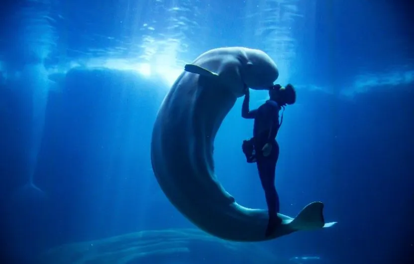 4541381bcc61cc7ac829a28404a33512-sz_464908