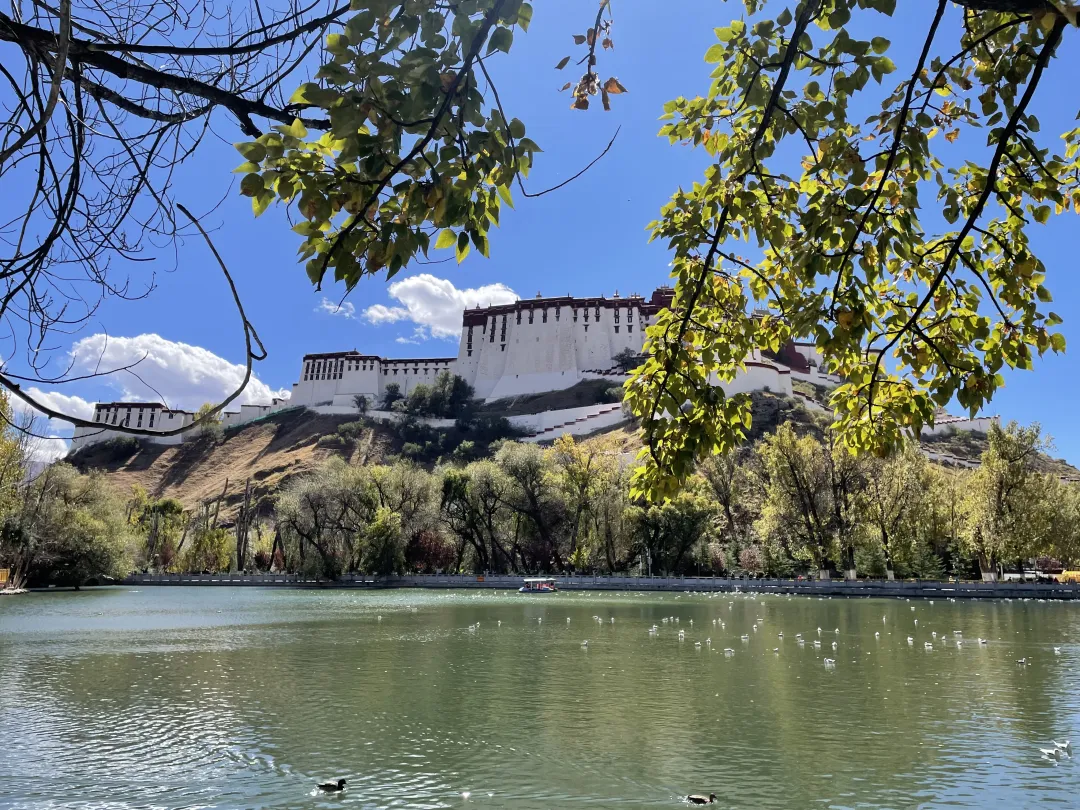 454edafc5d96466c1c44b81e2fa8c79e-sz_8771955