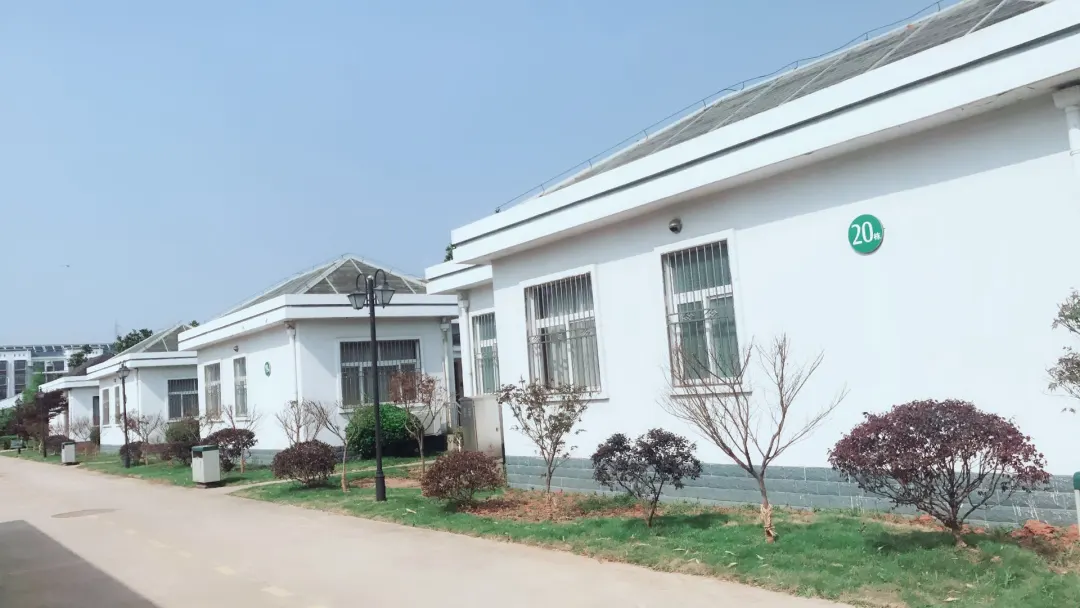 45608fcf566834af3e61c1f103c45a4e-sz_233126 45608fcf566834af3e61c1f103c45a4e-sz_233126