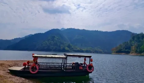 456161b0a4903d76cfc16208524f3e83-sz_279395