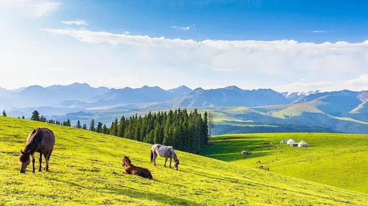 45bb26a29d48863ec43231fa4436e78f-sz_142591