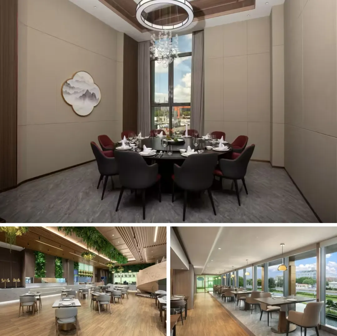 45d2706a987c2bbc76cff3d47b1c3e53-sz_359644