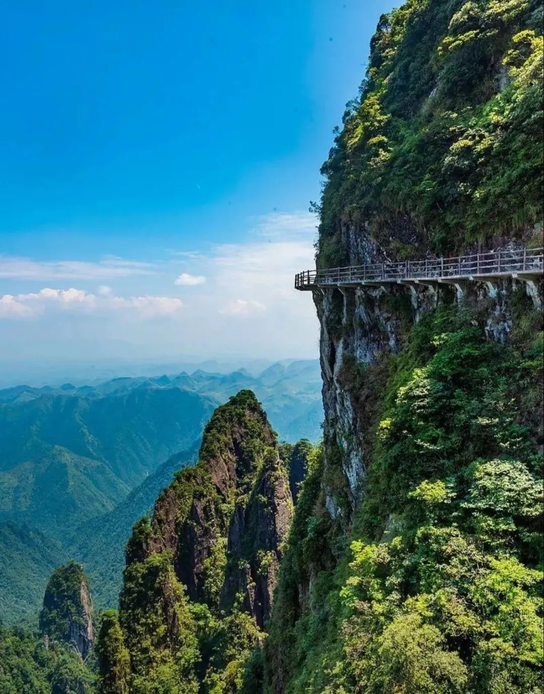 45d8fd499090bb9c3758230c2024b8a3-sz_3042040