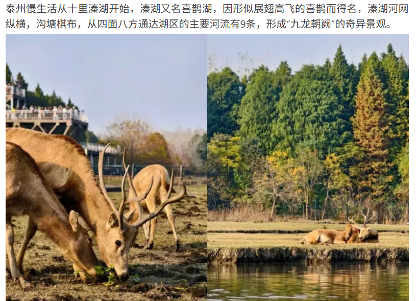 45e15d2f3d82a2f0716229bf5f3e6da0