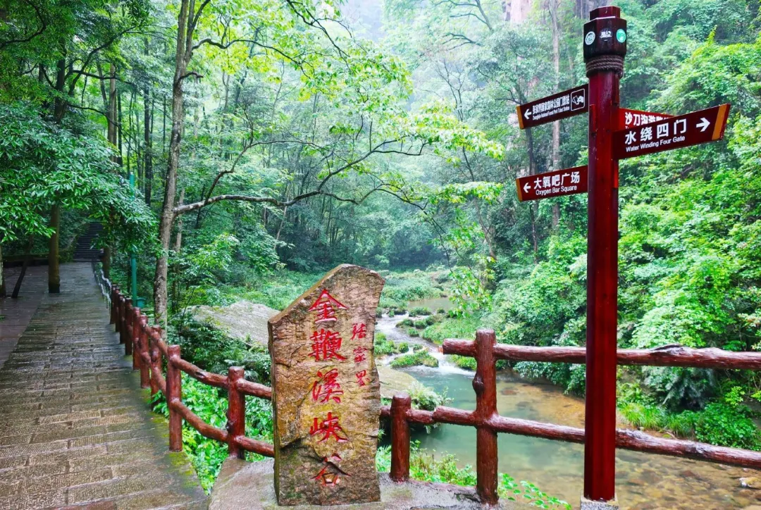 45eb114604a825519674ef352e5aab84-sz_582086