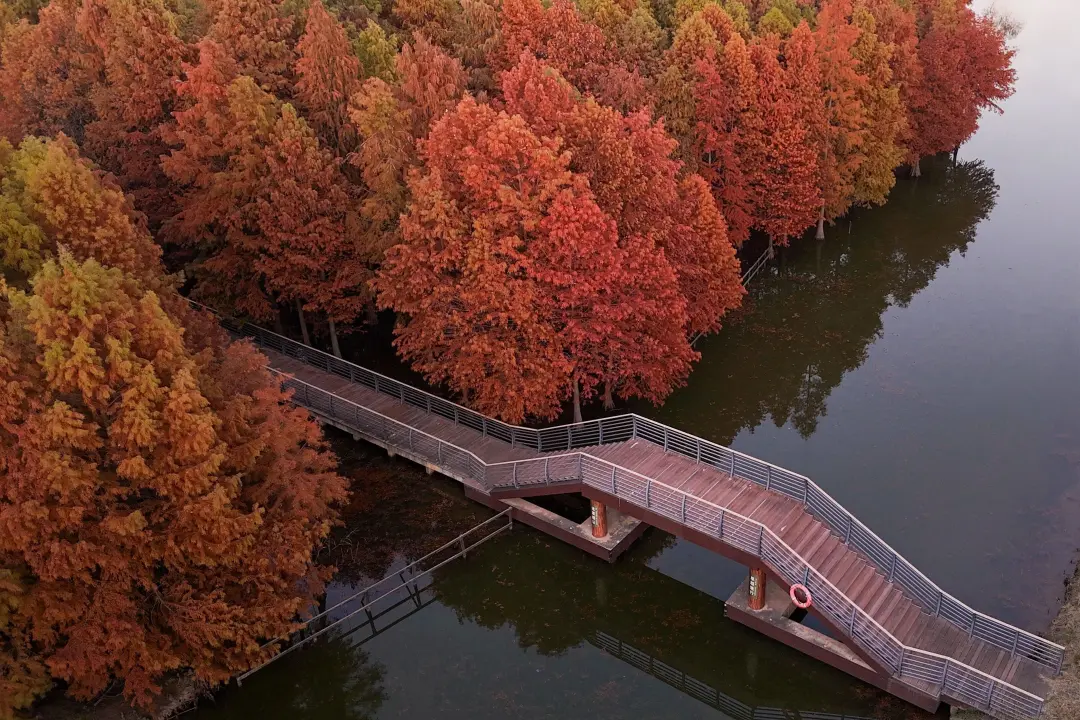 460cd2902c509ebeb6a1b53d8d7d5fb6-sz_1477816 460cd2902c509ebeb6a1b53d8d7d5fb6-sz_1477816