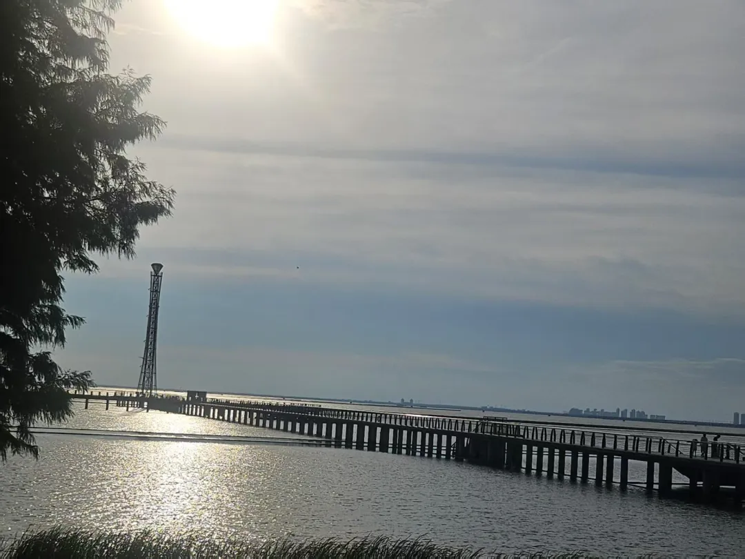 460fc04fe1ff3687e0cfd5b49a407ab2-sz_2085419 460fc04fe1ff3687e0cfd5b49a407ab2-sz_2085419