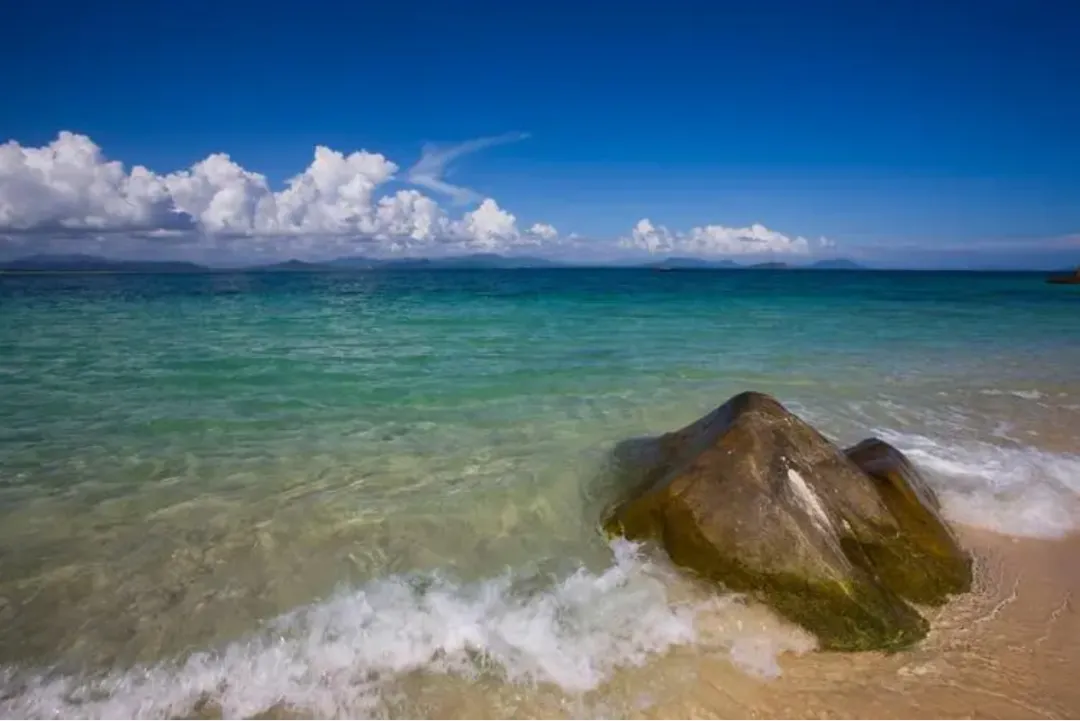 461195b990f3e4fe9a9ff722ed8c66e9-sz_1682812