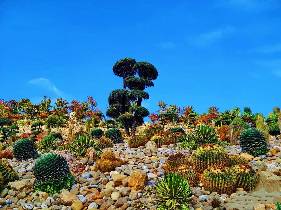 461762936d55af69eea98e21add69378-sz_2709914