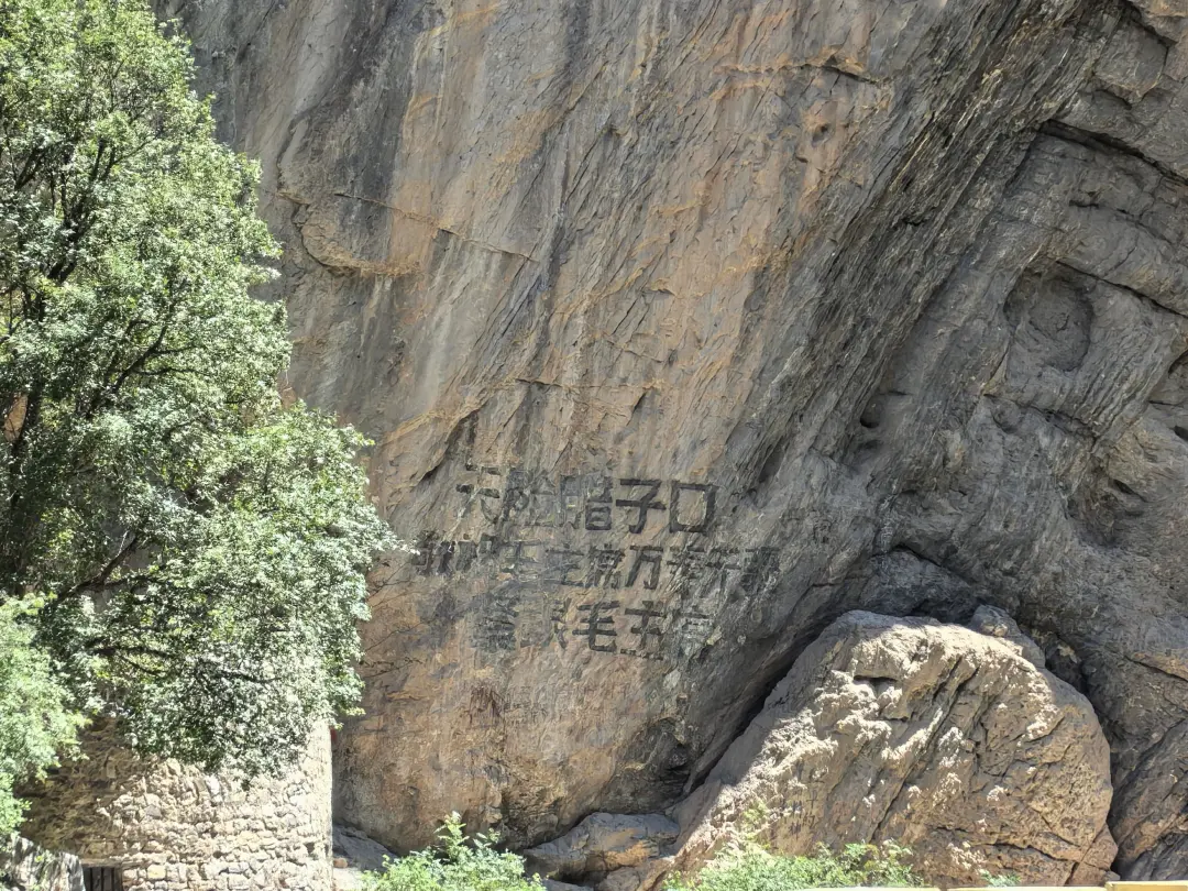 461972565ecb08b6e69cb9d5f90e67d4-sz_2010791 461972565ecb08b6e69cb9d5f90e67d4-sz_2010791