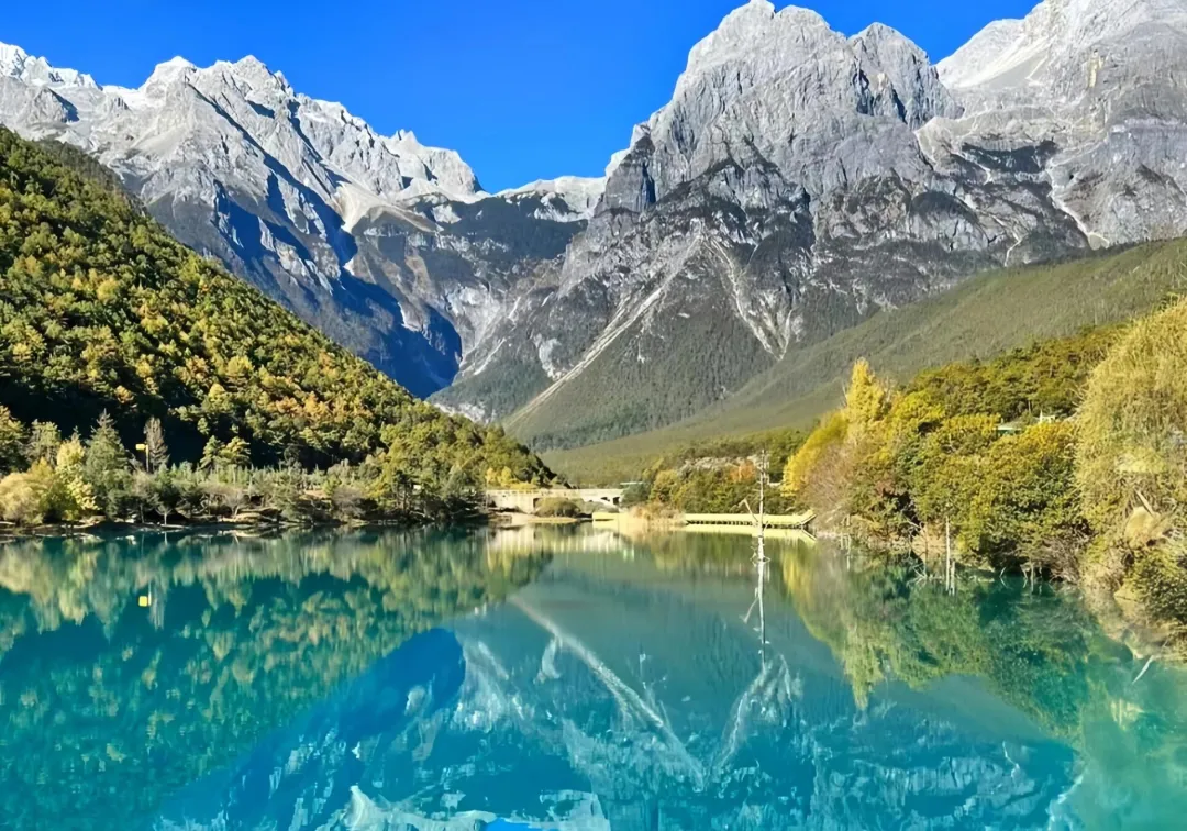 46516d07ff92352cd760009e0d7ce7ab-sz_797629