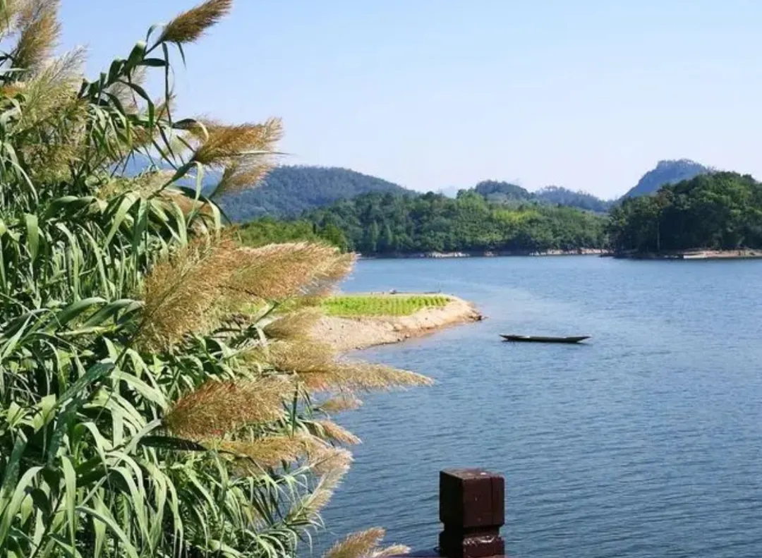 4652a66a2b428d74079ef66324c2b396-sz_571027