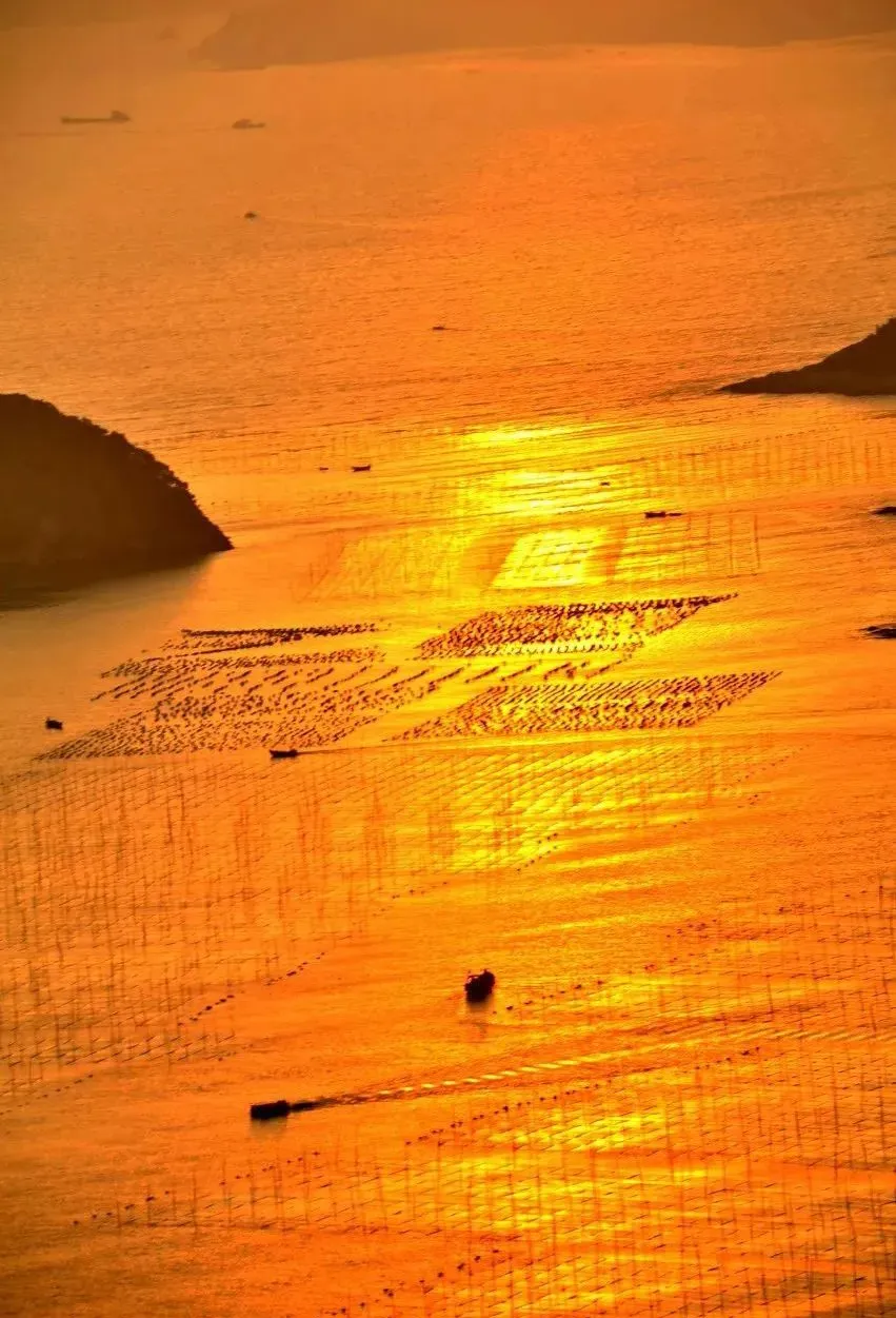 46674a925a2dfd1d254667e5df8eb935-sz_2060103