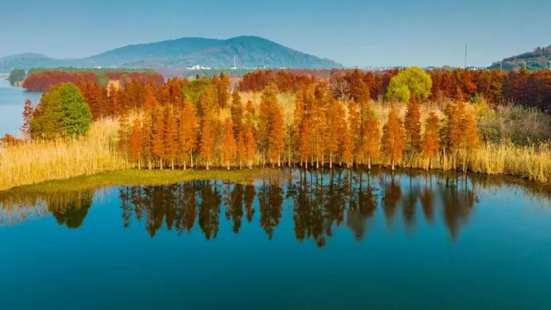 468dc40438225addacf7ab12a27d9126-sz_728839 468dc40438225addacf7ab12a27d9126-sz_728839