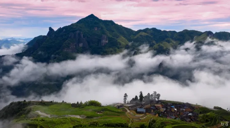 46cb1e9032b3bbb11f7921b9a7787571-sz_942899