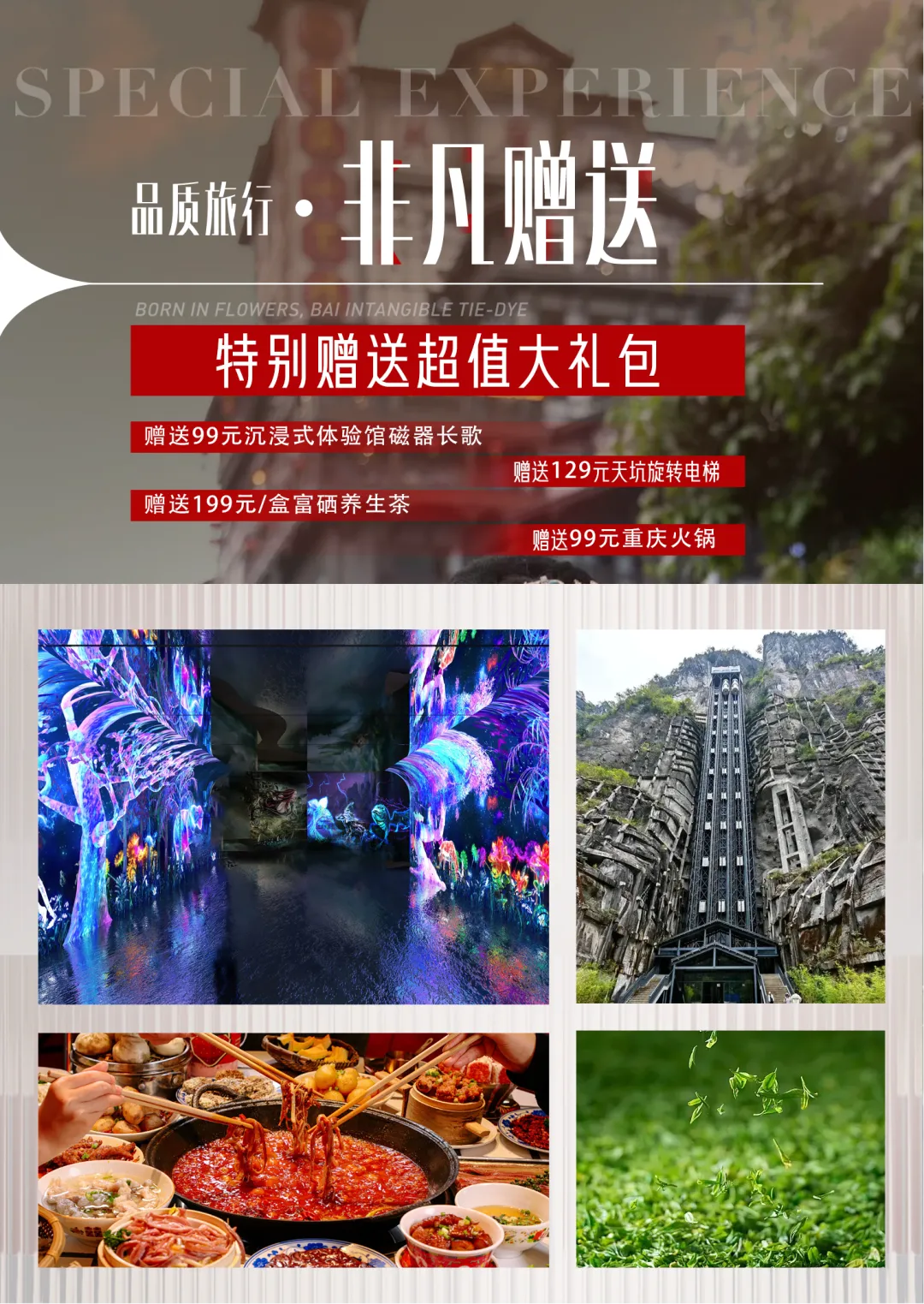 477a19308e826a243816c4a6bcc6dde4-sz_12733068