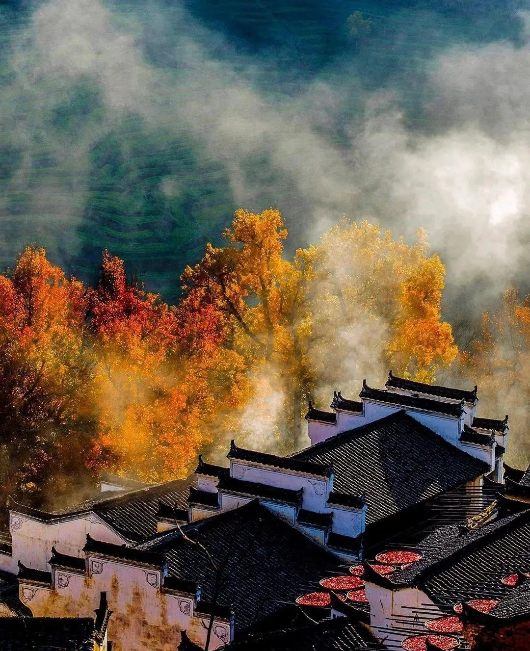 478b6c48e2f3d9c1d68cecee4bbb1f99-sz_1108492 478b6c48e2f3d9c1d68cecee4bbb1f99-sz_1108492