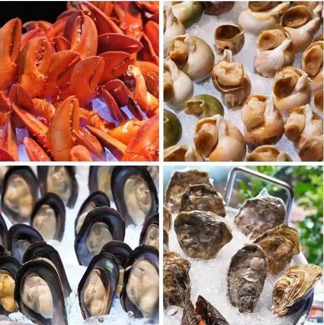 47a5dd77c830f8bef6349c0345c7e555-sz_97125 47a5dd77c830f8bef6349c0345c7e555-sz_97125