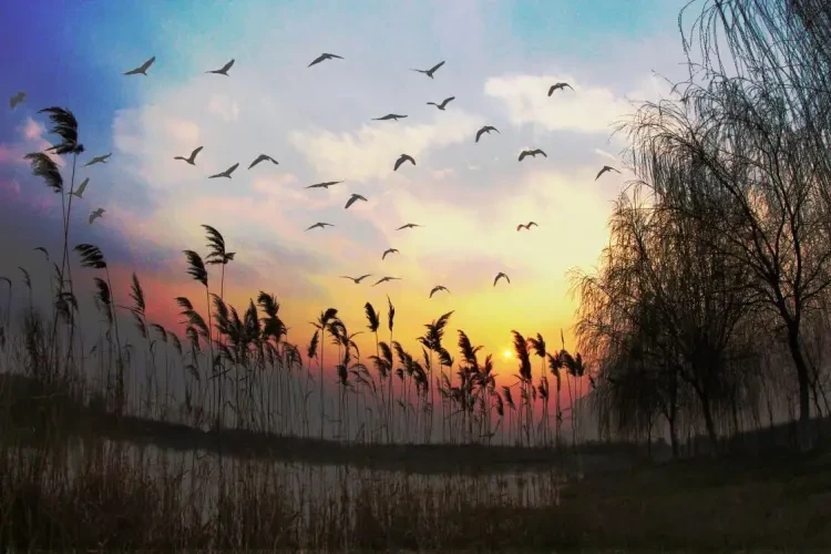 47c33093f82560aa3d84b8709aaa93e4-sz_147408