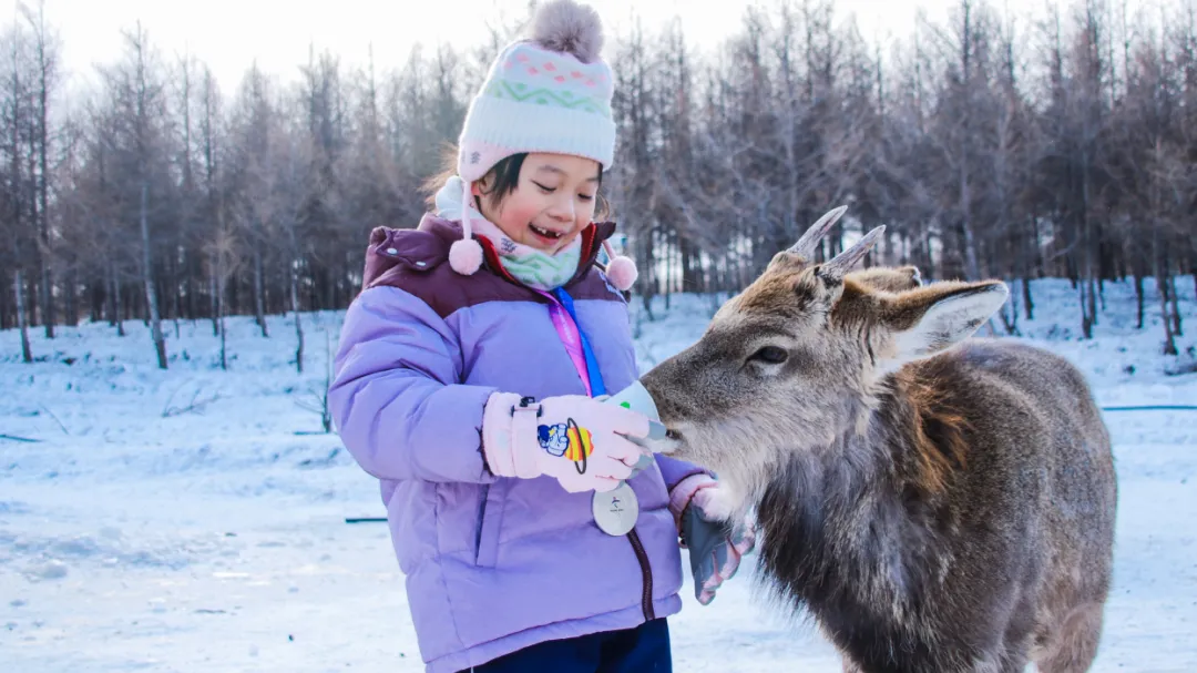 47d2723a66591f382bd05c4bda44aada-sz_1502237 47d2723a66591f382bd05c4bda44aada-sz_1502237