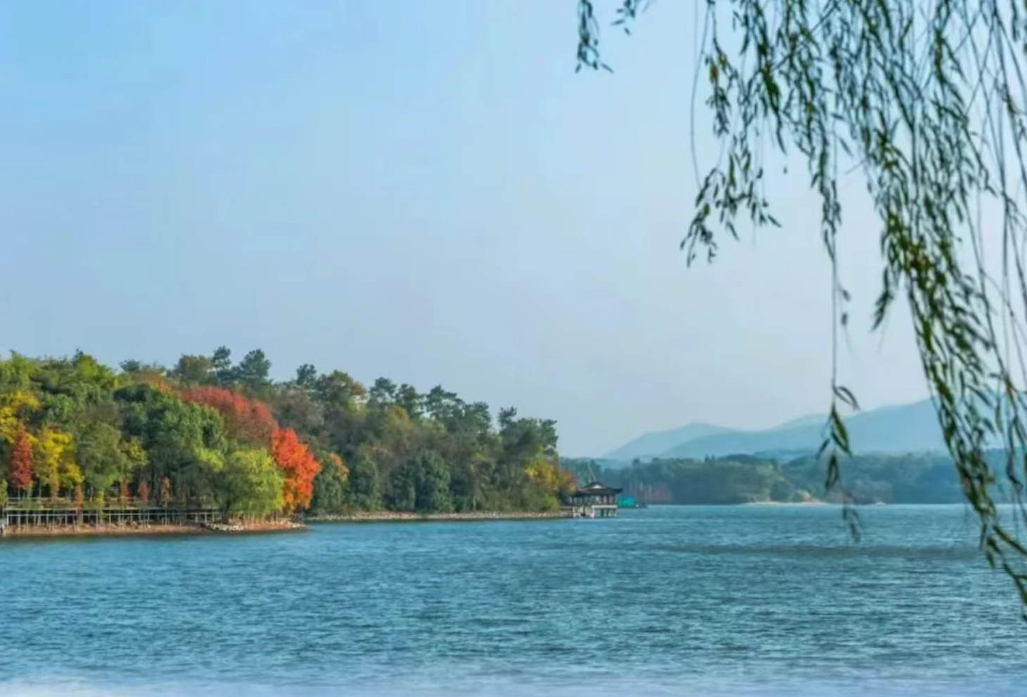 480f861a6da6585a8d3b73517fa90880