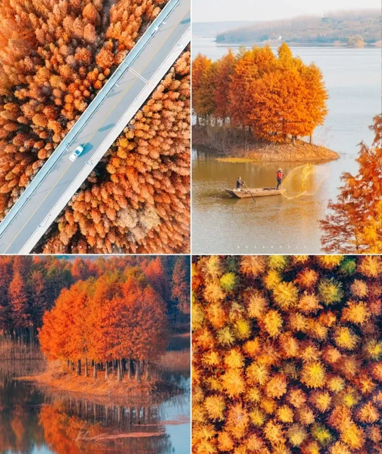 4821f2c753c098e85f533877149f90ae-sz_1432460-1