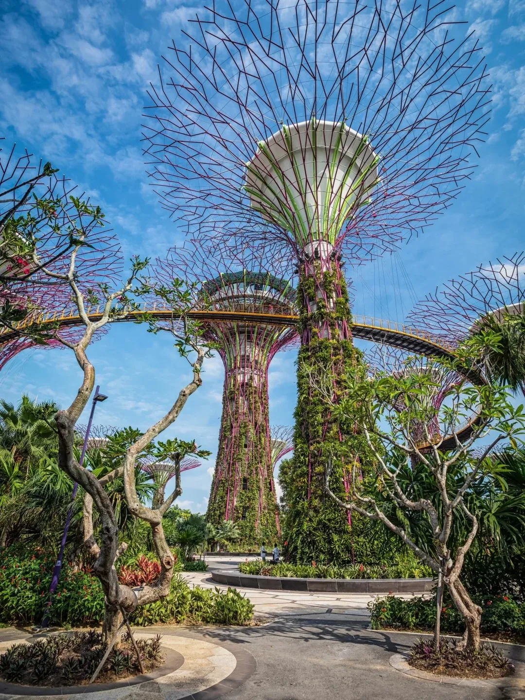 486ceda24c5e2fcdc124df0bd66e8ee2-sz_750911 486ceda24c5e2fcdc124df0bd66e8ee2-sz_750911