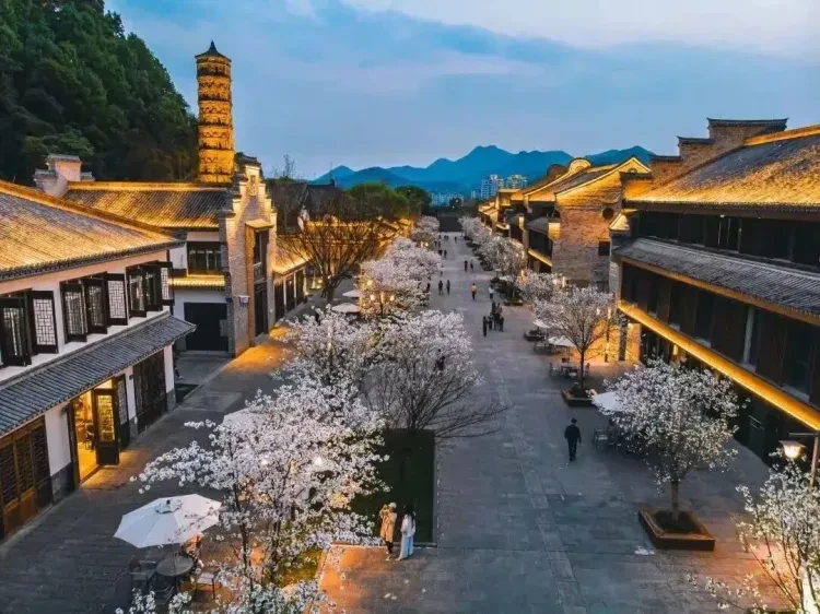 48ab39d9580340c837ab750e2afc26ab-sz_197179